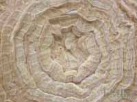 Fibreglass