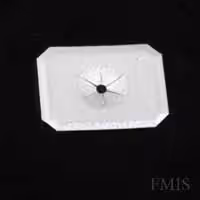 Small Rectangular Speed Clips for 12-gauge Pins on black background